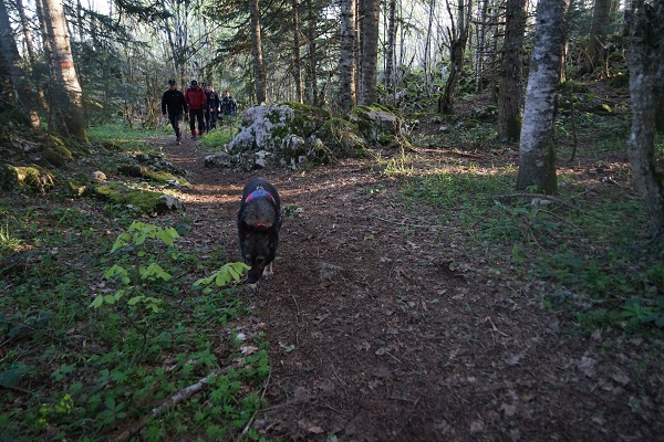 Foto - Mağarayı görmeye gitmişti! Milli parkta gizemli kayıp