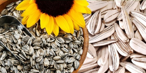 Foto - Magnezyum eksikliği belirtileri nelerdir? Magnezyum içeren besinler