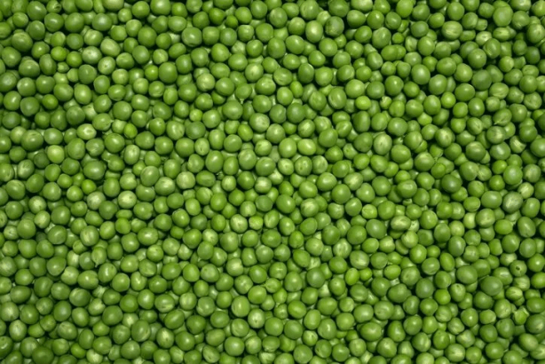 Foto - Magnezyum ihtiyacının %80'ini karşılıyor! Demir gibi kemiklerin sırrı meğer bu besinmiş