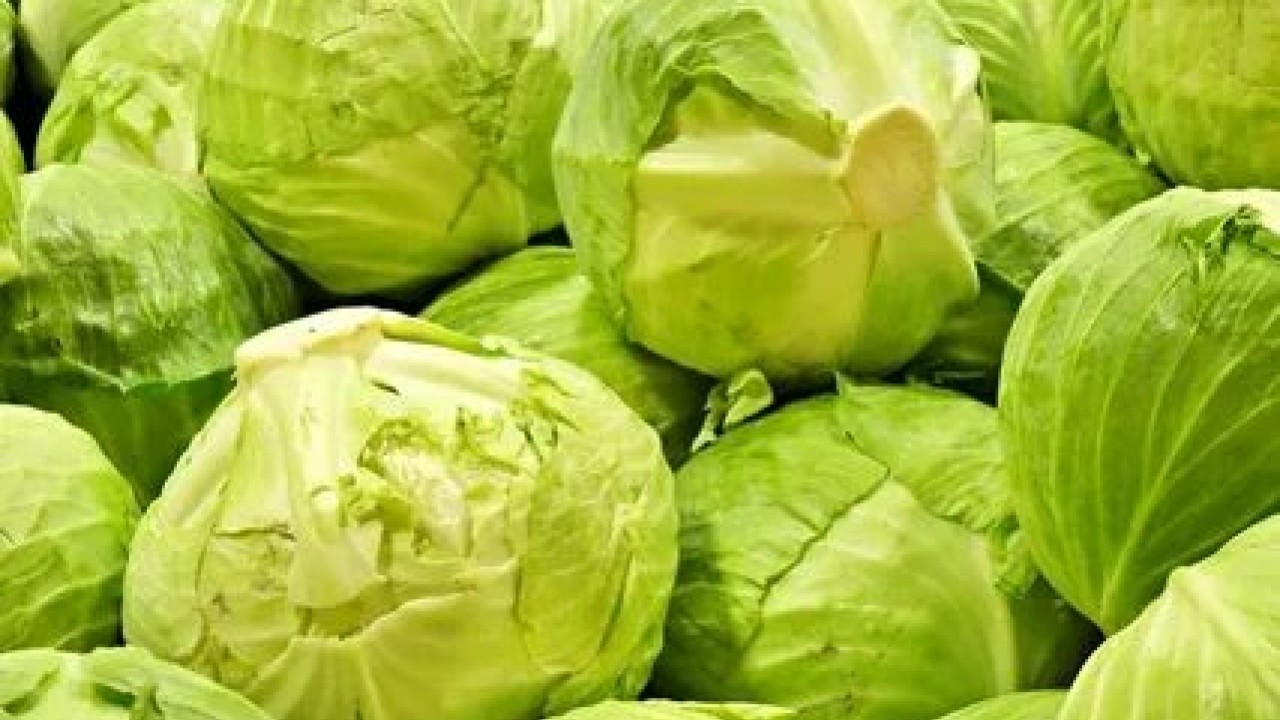 Foto - Magnezyum zengini sebzeler ortaya çıktı! Sağlığa faydaları şaşırtıyor