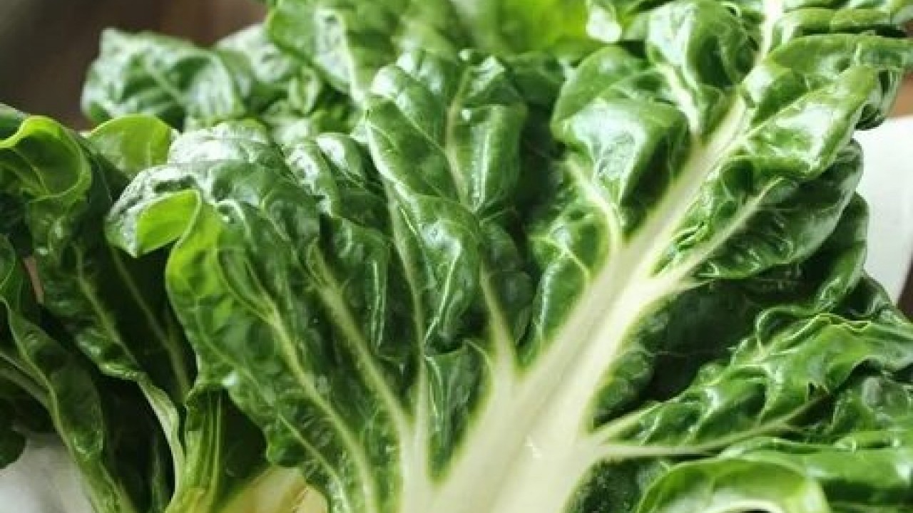 Foto - Magnezyum zengini sebzeler ortaya çıktı! Sağlığa faydaları şaşırtıyor