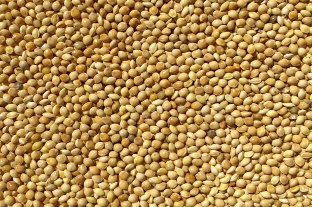 Foto - Magnezyumun zirvesi! Dünyanın süper gıdası! 1 kaşığı bile demir depolarını doldurmaya yetiyor!