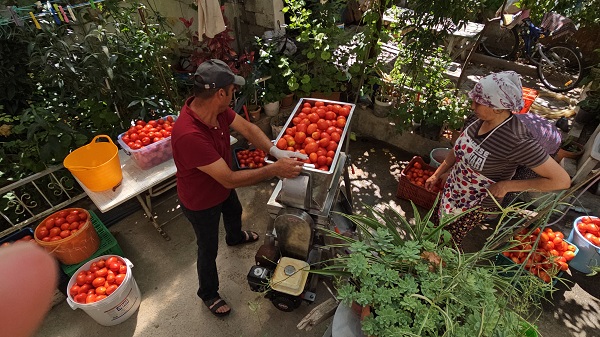 Foto - Mahalle mahalle dolaşıyor! 'Alo salça' hattı açıldı