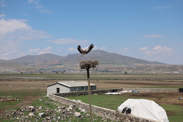 Foto - Mahalle özlemle beklediği misafirlerine kavuştu
