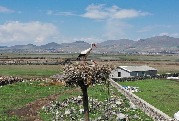 Mahalle özlemle beklediği misafirlerine kavuştu