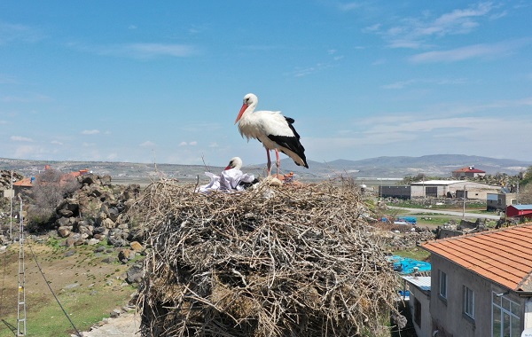 Foto - Mahalle özlemle beklediği misafirlerine kavuştu