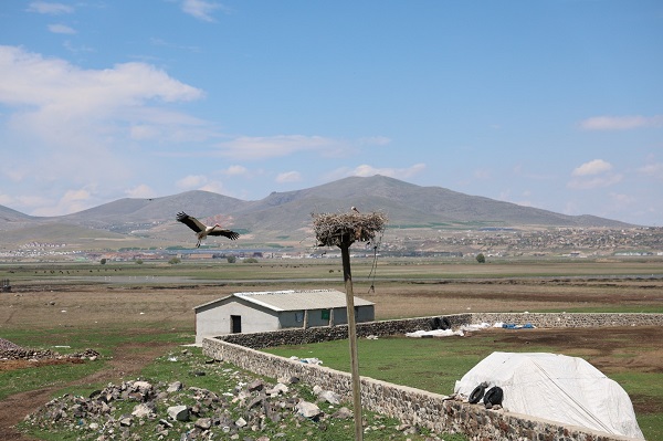 Foto - Mahalle özlemle beklediği misafirlerine kavuştu
