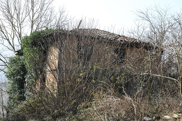 Foto - Mahalle terk edilince tarihi cami bu hale geldi