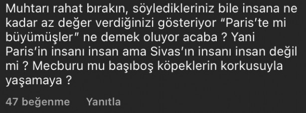 Foto - Mahalleli istedi başı boş köpekleri topladı, hayvan severlerle başı derde girdi