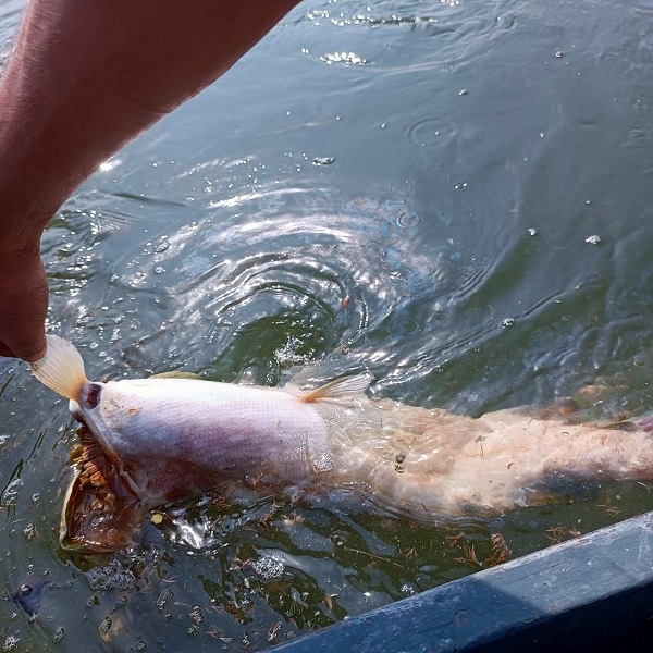 Foto - Mahalleli önlem alınmasını istiyor! O gölün seviyesindeki düşüş korkuttu