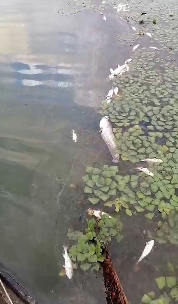 Foto - Mahalleli önlem alınmasını istiyor! O gölün seviyesindeki düşüş korkuttu