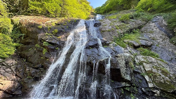 Foto - Mahallelinin ihtiyacı için yapıldı! Yurdun dört bir yanından fotoğraf çektirmek için geliyorlar