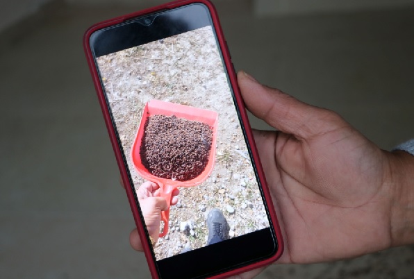 Mahallelinin uykusu kaçtı! Kürek kürek toplanıyor bitmiyorlar...