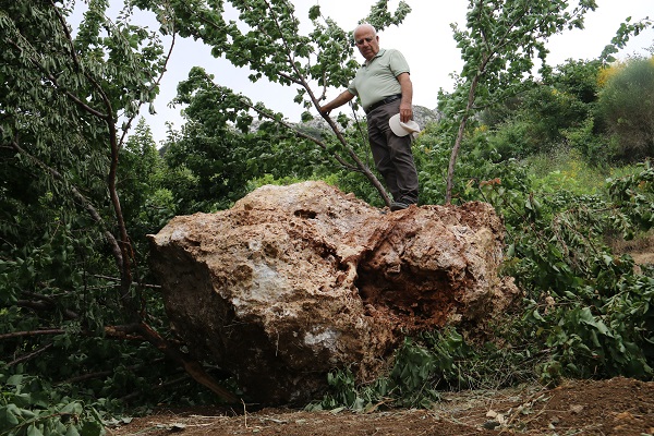 Foto - Mahallelinin yüreği ağzına geldi! Tam 10 ton ağırlığında