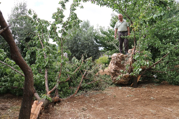 Foto - Mahallelinin yüreği ağzına geldi! Tam 10 ton ağırlığında