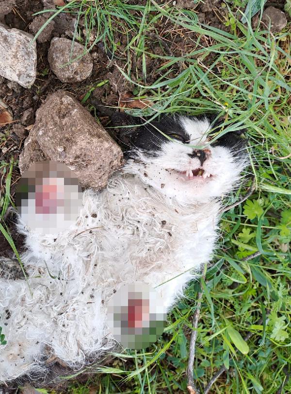 Foto - Mahalleyi ayağa kaldıran vahşet! Ayakları kesilmiş halde ölü bulundu