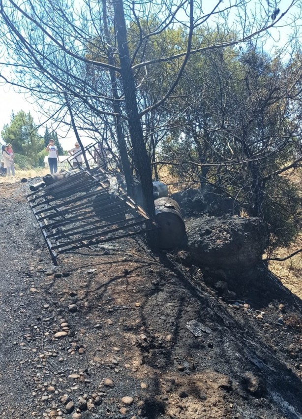 Foto - Makilik alanda çıkan yangın seralarda hasara neden oldu