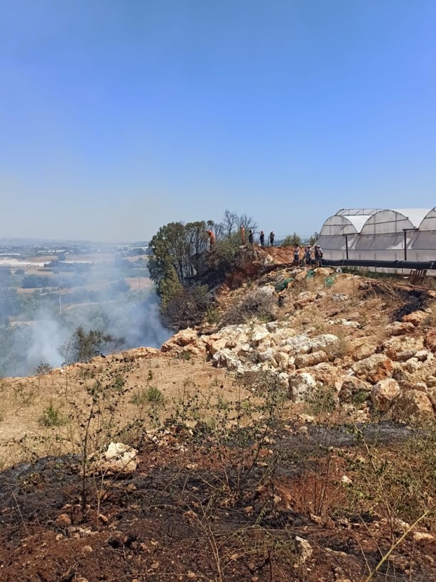 Makilik alanda çıkan yangın seralarda hasara neden oldu