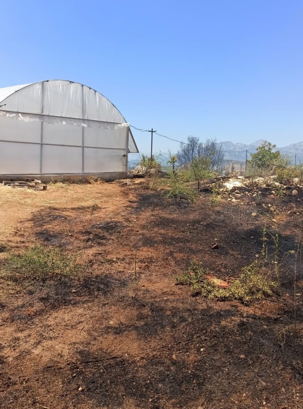 Foto - Makilik alanda çıkan yangın seralarda hasara neden oldu