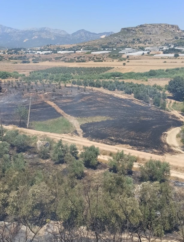 Foto - Makilik alanda çıkan yangın seralarda hasara neden oldu