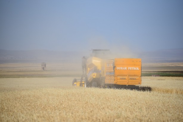 Foto - Malakanlardan kaldı! Karslılara hizmet ediyor