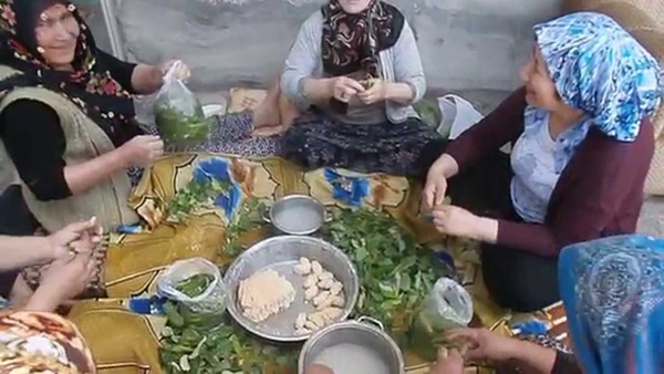 Foto - Malatya usulü ayva yaprağı sarması