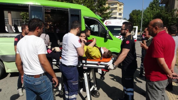 Foto - Malatya'da can pazarı