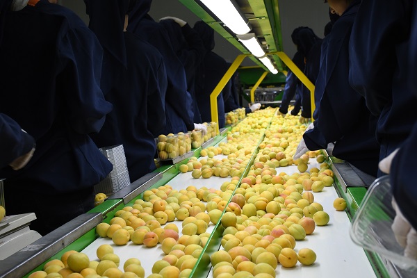 Foto - Malatya'da iş var çalışacak kimse yok