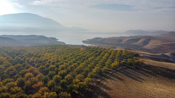 Foto - Malatya'da sonbahar güzelliği