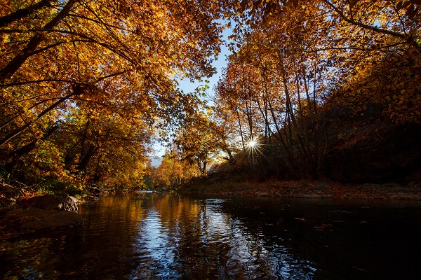Foto - Malatya'da sonbahar güzelliği