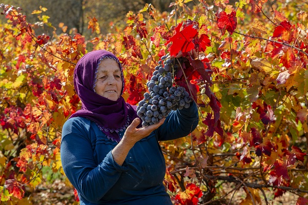 Foto - Malatya'da sonbahar güzelliği