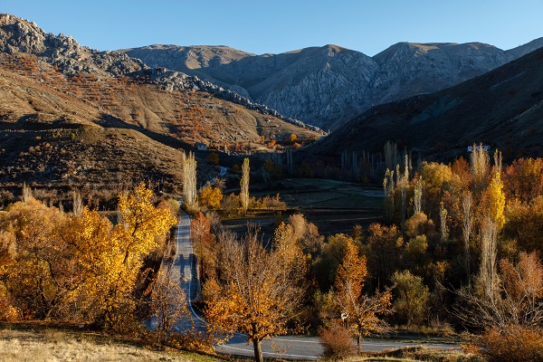 Foto - Malatya'da sonbahar güzelliği