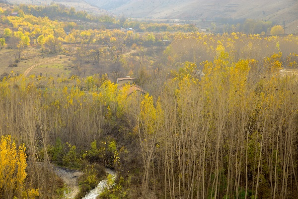 Foto - Malatya'da sonbahar güzelliği