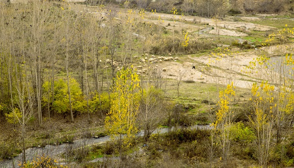 Foto - Malatya'da sonbahar güzelliği