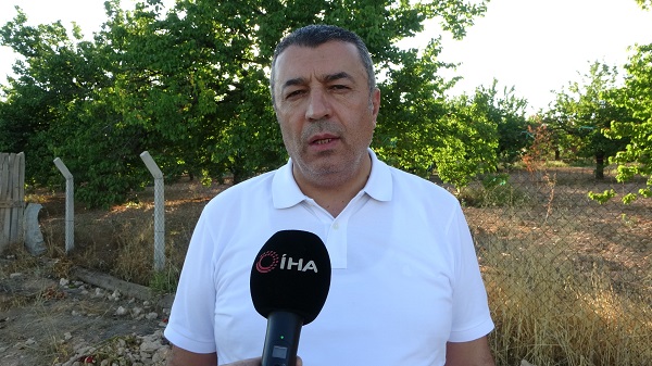 Foto - Malatya'da yetişiyor Avrupa'ya gönderiliyor