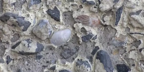 Foto - Maltepe Köprüsü'nde tedirgin edici görüntü! Şok haber: Midye kabukları ve çürümüş demirler! 