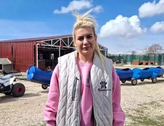 Foto - ‘Mama’sı kesilince ağlamaya başladı! Hayvan derneği parasıyla at yarışı