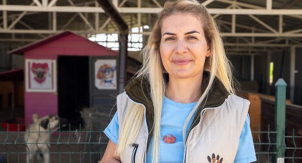 Foto - ‘Mama’sı kesilince ağlamaya başladı! Hayvan derneği parasıyla at yarışı