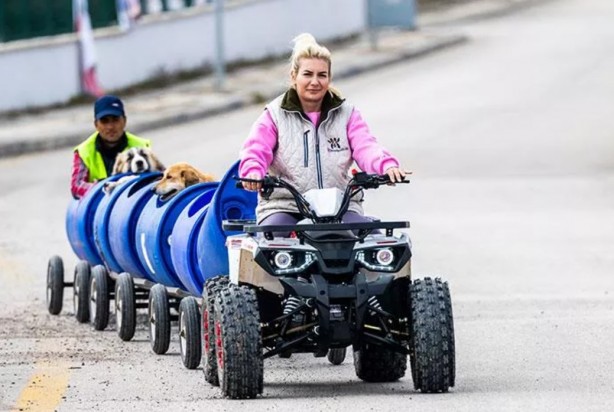 Foto - ‘Mama’sı kesilince ağlamaya başladı! Hayvan derneği parasıyla at yarışı