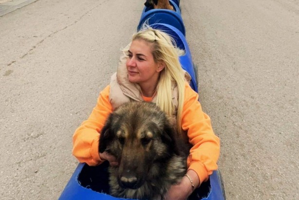 Foto - ‘Mama’sı kesilince ağlamaya başladı! Hayvan derneği parasıyla at yarışı