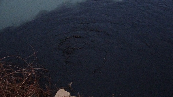 Foto - Manavgat Irmağı siyaha büründü