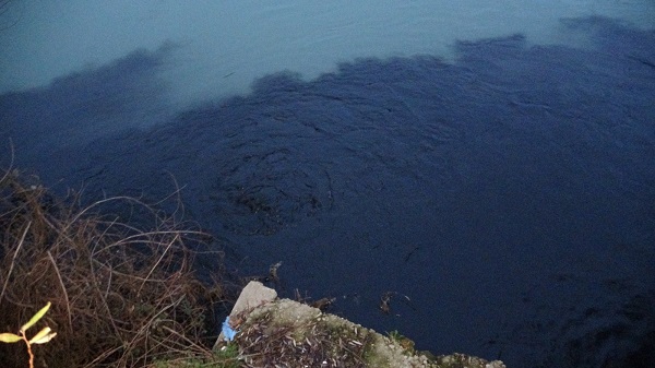 Foto - Manavgat Irmağı siyaha büründü