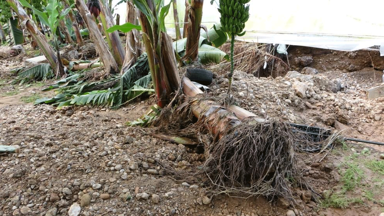 Foto - Manavgat'ı hortum vurdu