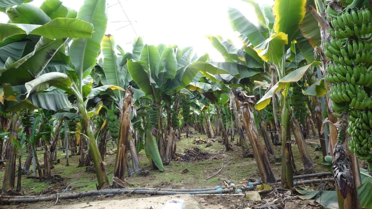 Foto - Manavgat'ı hortum vurdu
