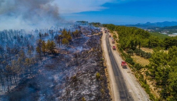 Foto - Manavgat'taki bilanço: 60 bin hektar kül oldu, 1 milyar TL zarar var
