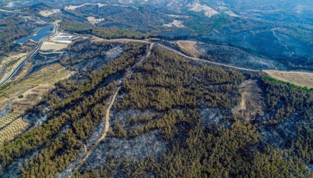 Foto - Manavgat'taki bilanço: 60 bin hektar kül oldu, 1 milyar TL zarar var