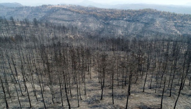 Foto - Manavgat'taki bilanço: 60 bin hektar kül oldu, 1 milyar TL zarar var