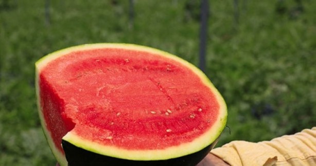 Foto - Manavlar, bal gibi karpuz isteyenlere o sırrı açıkladı! Karpuzda bu varsa, hiç durmayın, hemen alın