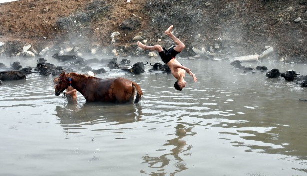 Foto - Manda ve atların kaplıca keyfi görülmeye değer!