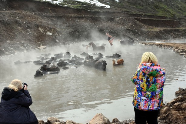 Manda ve atların kaplıca keyfi görülmeye değer!